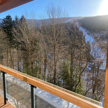 Avenue Chalet Spindleruv Mlyn Exterior photo
