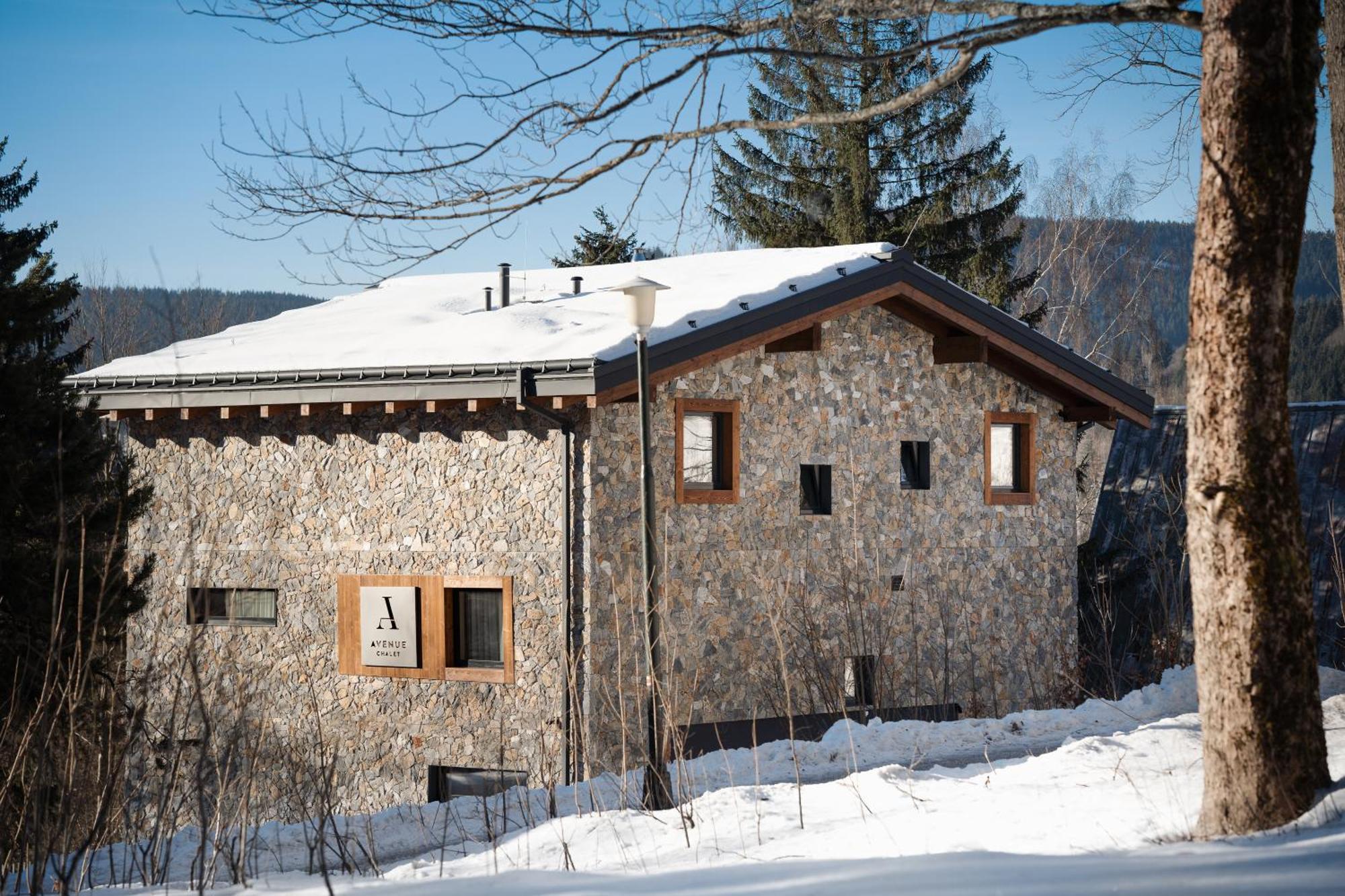 Avenue Chalet Spindleruv Mlyn Exterior photo